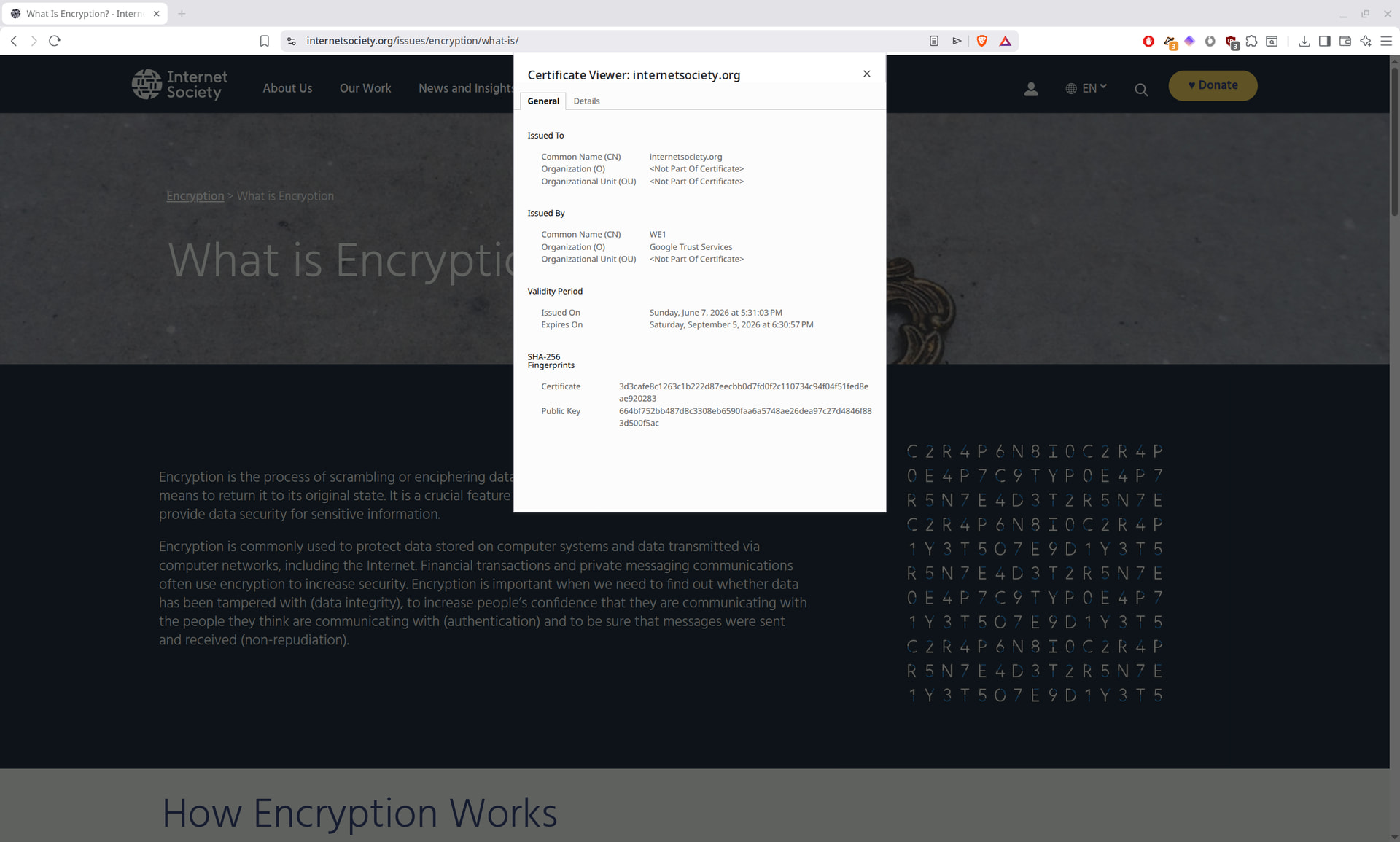 Browser certificate viewer showing the issuer, domain, and validity dates