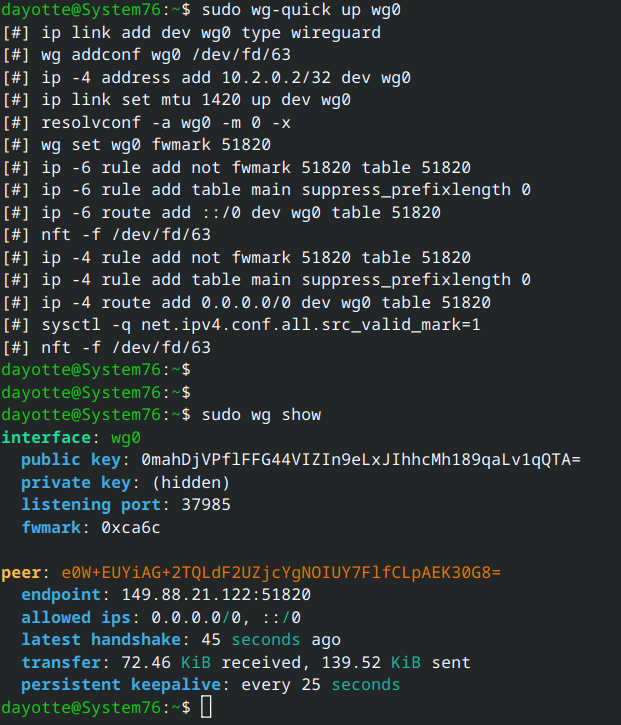 WireGuard client connected, showing active tunnel