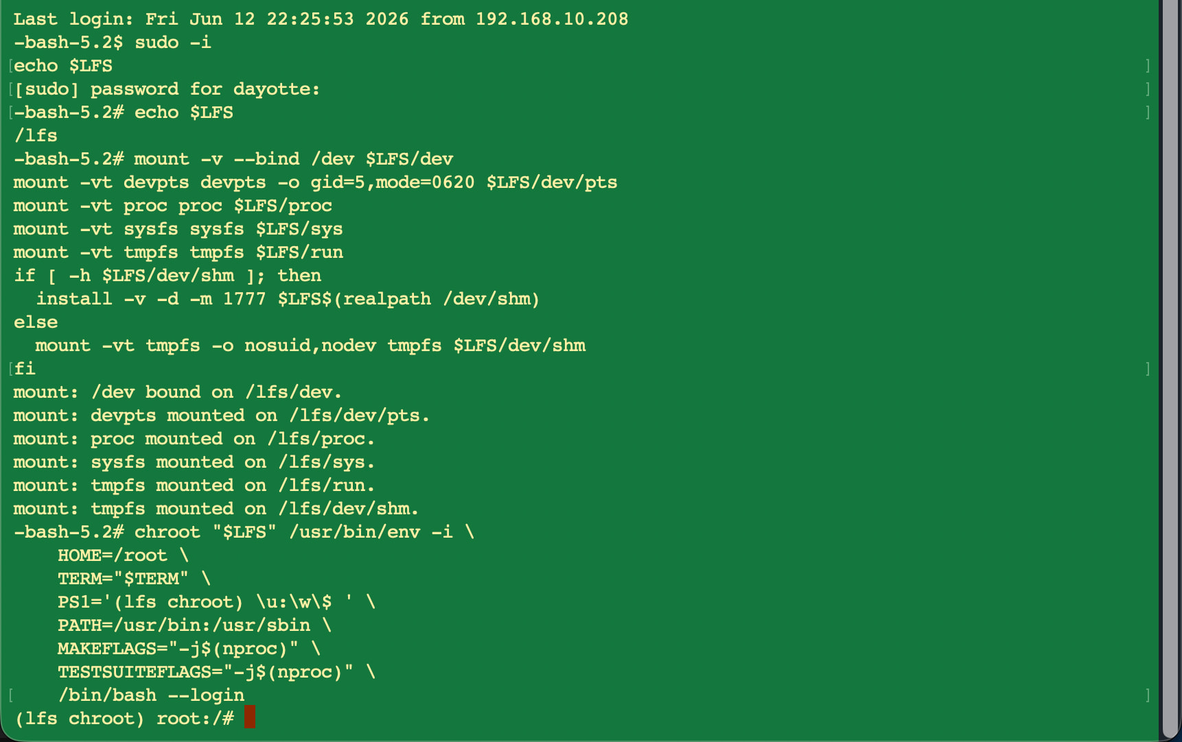 Resuming the build. Remount the virtual filesystems, then re-enter the chroot.
