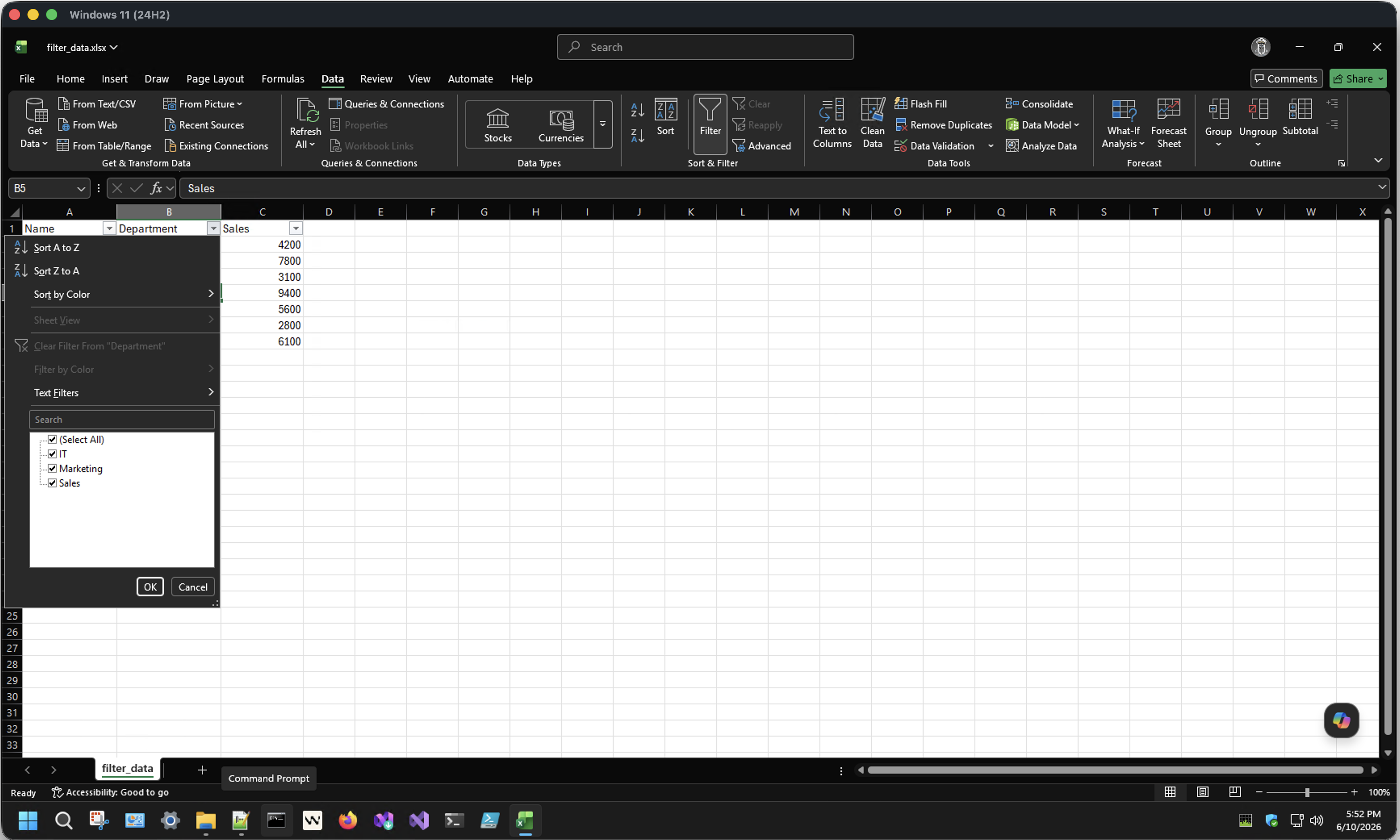 Data tab with AutoFilter active, showing dropdown arrows on header row and a filter dropdown open